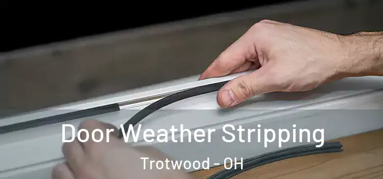  Door Weather Stripping Trotwood - OH