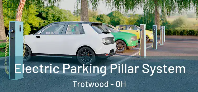  Electric Parking Pillar System Trotwood - OH