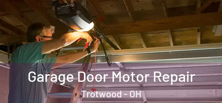  Garage Door Motor Repair Trotwood - OH