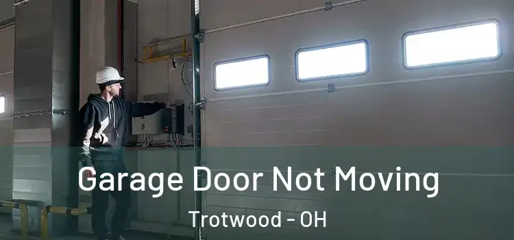  Garage Door Not Moving Trotwood - OH