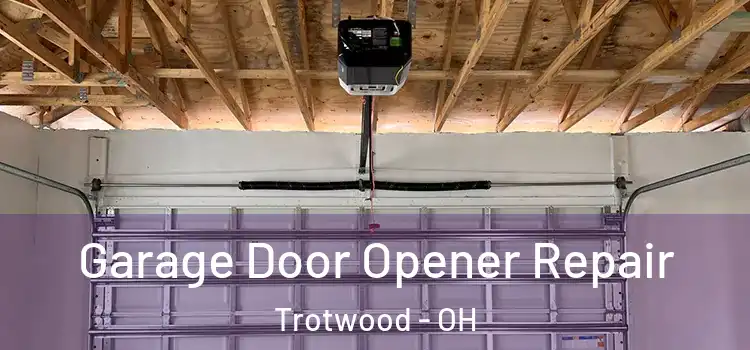  Garage Door Opener Repair Trotwood - OH