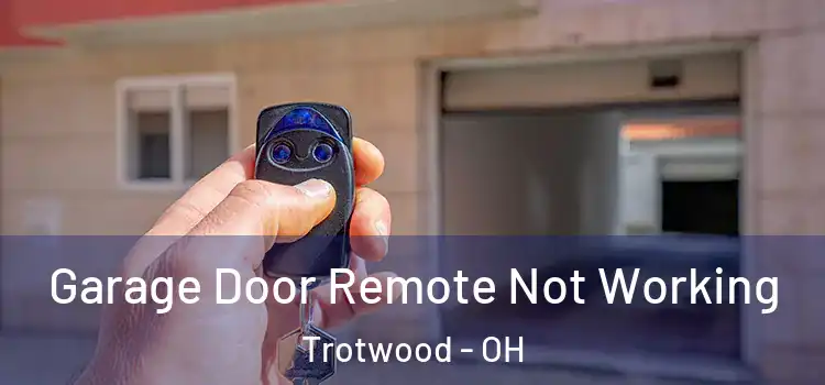  Garage Door Remote Not Working Trotwood - OH