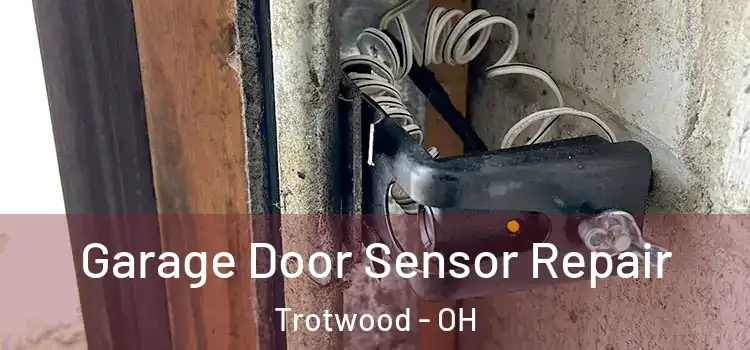 Garage Door Sensor Repair Trotwood - OH