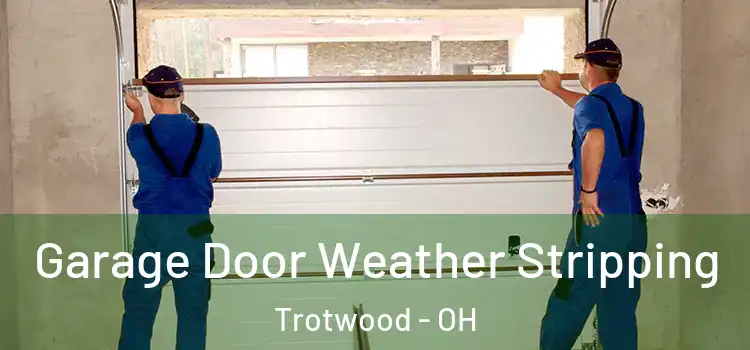  Garage Door Weather Stripping Trotwood - OH