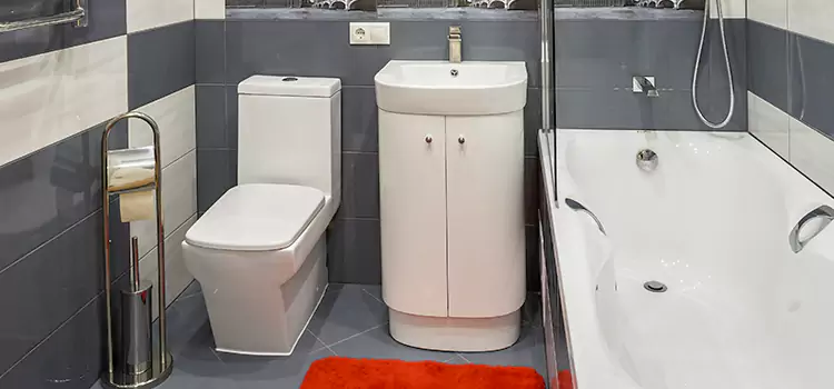 Hansgrohe Shaving Mirror Trotwood