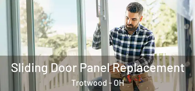  Sliding Door Panel Replacement Trotwood - OH